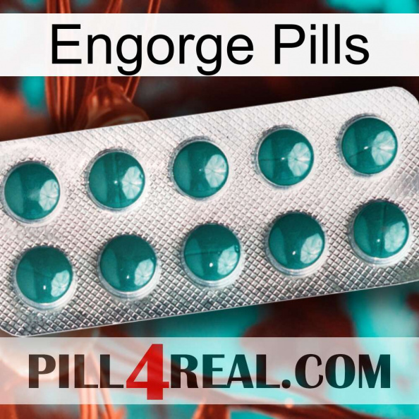 Engorge Pills dapoxetine1.jpg